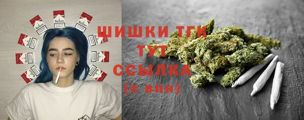 PSILOCYBIN Бородино