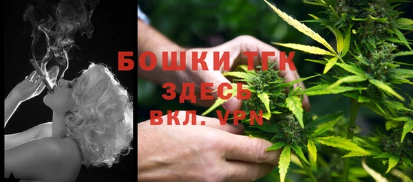 PSILOCYBIN Бородино