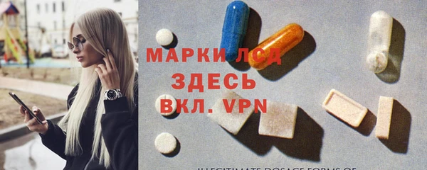 PSILOCYBIN Бородино