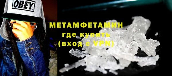 PSILOCYBIN Бородино