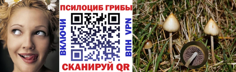 Псилоцибиновые грибы ЛСД Новотроицк